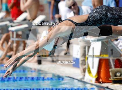 Thumbnail 1 in AIA D1 Swim Finals photogallery.