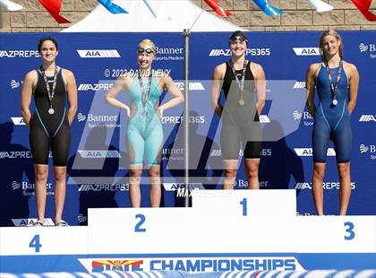 Thumbnail 1 in AIA D1 Swim Finals photogallery.