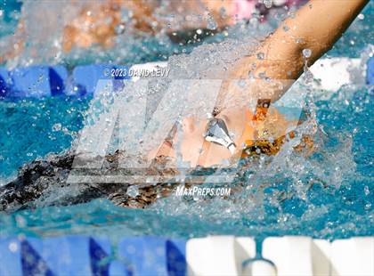 Thumbnail 3 in AIA D1 Swim Finals photogallery.