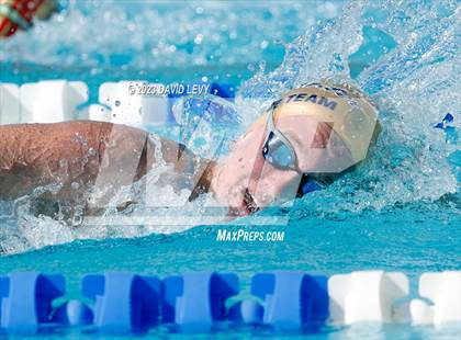 Thumbnail 2 in AIA D1 Swim Finals photogallery.