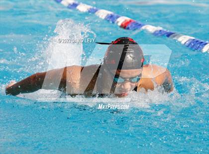 Thumbnail 1 in AIA D1 Swim Finals photogallery.