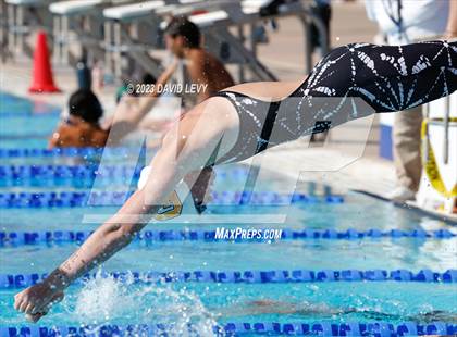 Thumbnail 3 in AIA D1 Swim Finals photogallery.