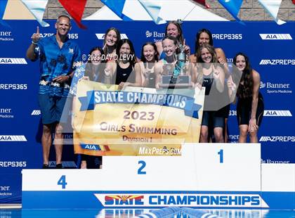 Thumbnail 2 in AIA D1 Swim Finals photogallery.