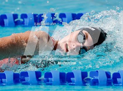 Thumbnail 3 in AIA D1 Swim Finals photogallery.