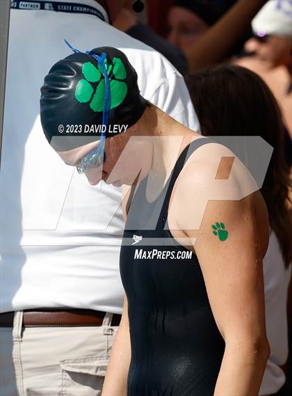Thumbnail 1 in AIA D1 Swim Finals photogallery.