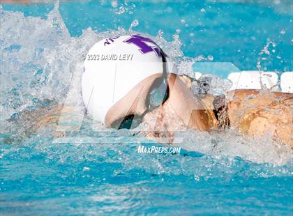 Thumbnail 1 in AIA D1 Swim Finals photogallery.