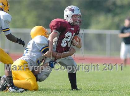Thumbnail 2 in Lockport @ Starpoint  photogallery.