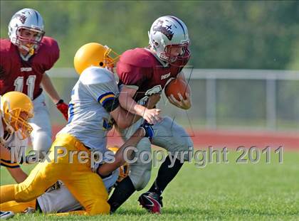 Thumbnail 1 in Lockport @ Starpoint  photogallery.