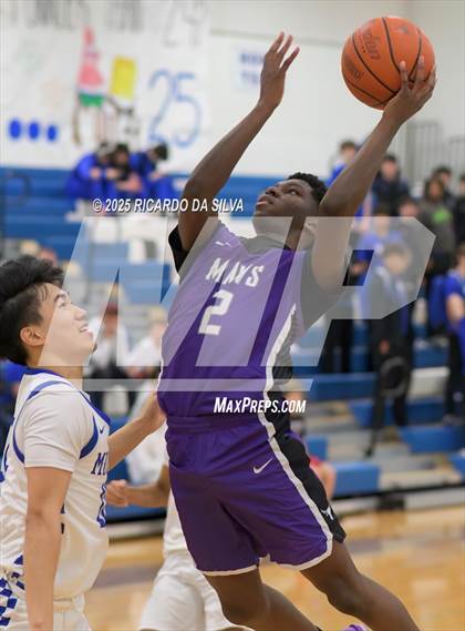 Thumbnail 3 in Morton Ranch @ Katy Taylor photogallery.
