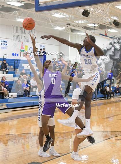 Thumbnail 1 in Morton Ranch @ Katy Taylor photogallery.