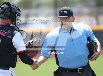 Thumbnail 3 in Palmview @ Rowe (UIL Baseball Area 5A D1) photogallery.