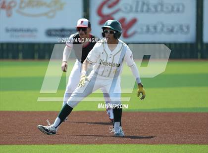 Thumbnail 3 in Palmview @ Rowe (UIL Baseball Area 5A D1) photogallery.