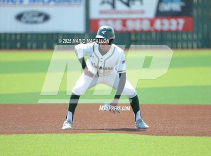 Thumbnail 3 in Palmview @ Rowe (UIL Baseball Area 5A D1) photogallery.
