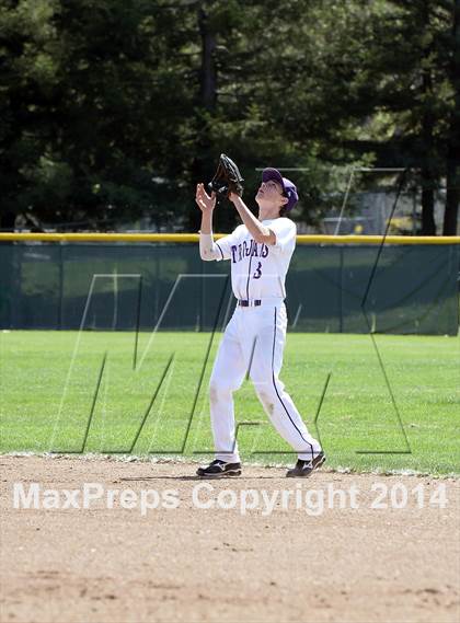 Thumbnail 1 in San Lorenzo @ Petaluma photogallery.