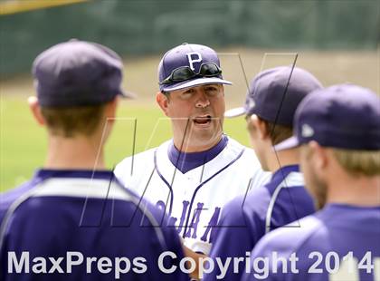 Thumbnail 2 in San Lorenzo @ Petaluma photogallery.