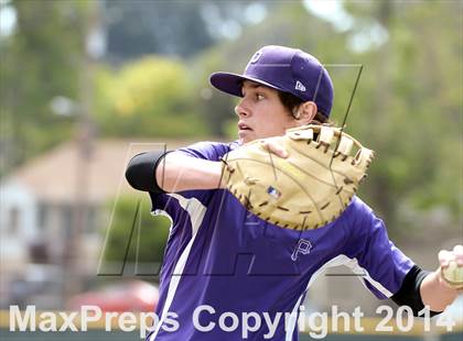 Thumbnail 1 in San Lorenzo @ Petaluma photogallery.