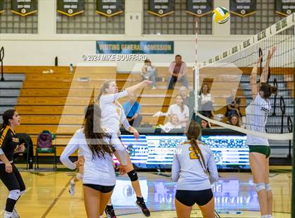 Thumbnail 3 in Ventura @ Santa Barbara photogallery.