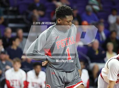 Thumbnail 2 in Petal vs. Glens Falls (City of Palms Classic) photogallery.