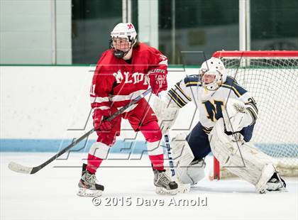 Thumbnail 2 in Milton @ Needham photogallery.