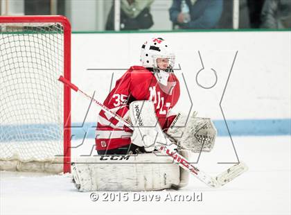 Thumbnail 1 in Milton @ Needham photogallery.