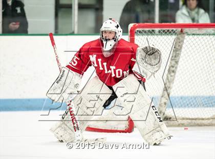 Thumbnail 1 in Milton @ Needham photogallery.