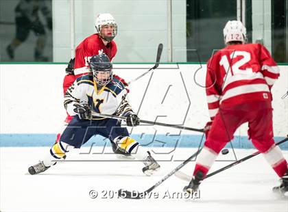 Thumbnail 2 in Milton @ Needham photogallery.