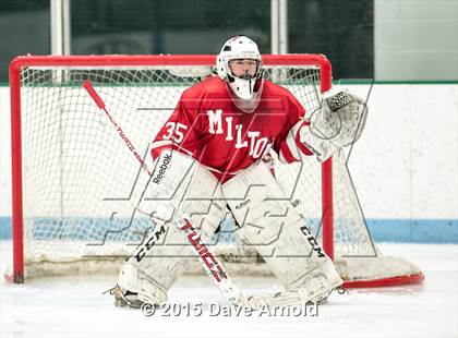 Thumbnail 2 in Milton @ Needham photogallery.