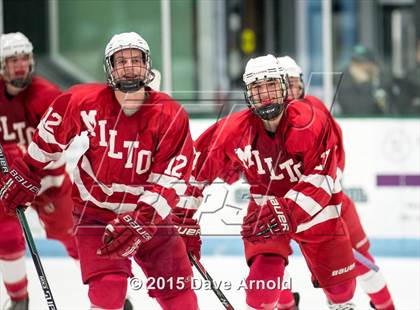 Thumbnail 2 in Milton @ Needham photogallery.