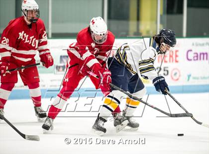 Thumbnail 2 in Milton @ Needham photogallery.