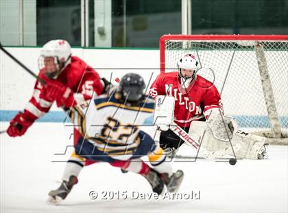 Thumbnail 3 in Milton @ Needham photogallery.