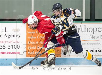 Thumbnail 2 in Milton @ Needham photogallery.
