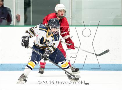 Thumbnail 2 in Milton @ Needham photogallery.