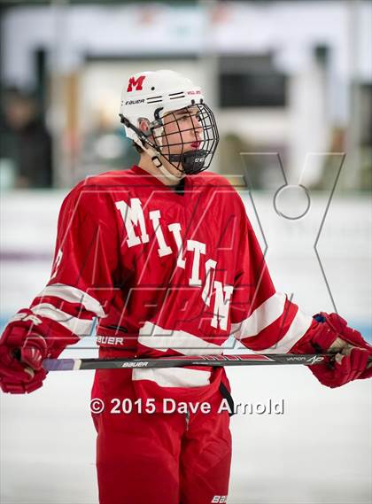 Thumbnail 2 in Milton @ Needham photogallery.