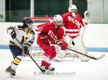 Thumbnail 1 in Milton @ Needham photogallery.