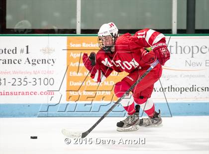 Thumbnail 2 in Milton @ Needham photogallery.