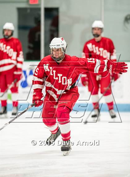 Thumbnail 1 in Milton @ Needham photogallery.