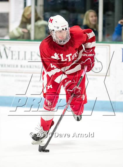 Thumbnail 2 in Milton @ Needham photogallery.