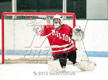 Thumbnail 1 in Milton @ Needham photogallery.