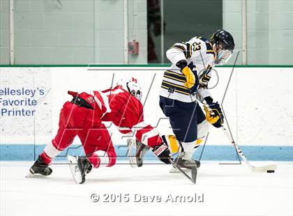 Thumbnail 1 in Milton @ Needham photogallery.