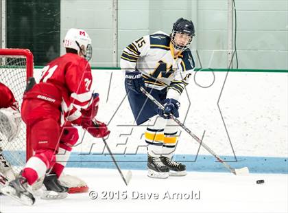 Thumbnail 2 in Milton @ Needham photogallery.