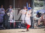 Photo from the gallery "Golden @ Elizabeth"