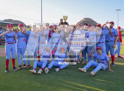 Thumbnail 2 in Centennial @ Canyon View (AIA 5A Final Awards) photogallery.