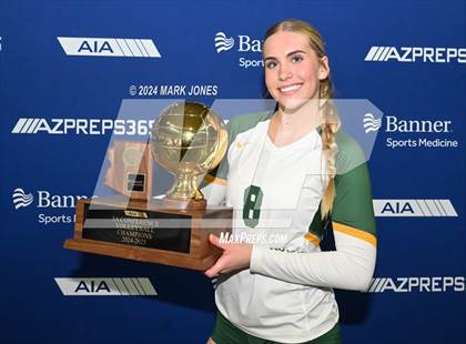 Thumbnail 2 in Horizon vs. Sunrise Mountain (AIA 5A Final - Awards) photogallery.