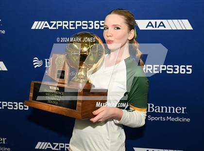 Thumbnail 2 in Horizon vs. Sunrise Mountain (AIA 5A Final - Awards) photogallery.