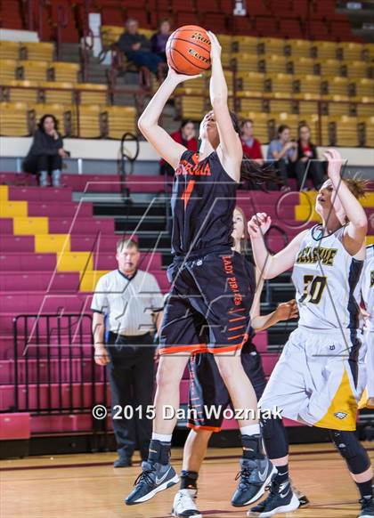 Thumbnail 2 in Bellevue vs. Petrolia (Fantasy of lights) photogallery.