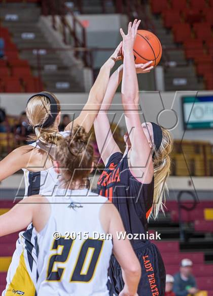 Thumbnail 3 in Bellevue vs. Petrolia (Fantasy of lights) photogallery.