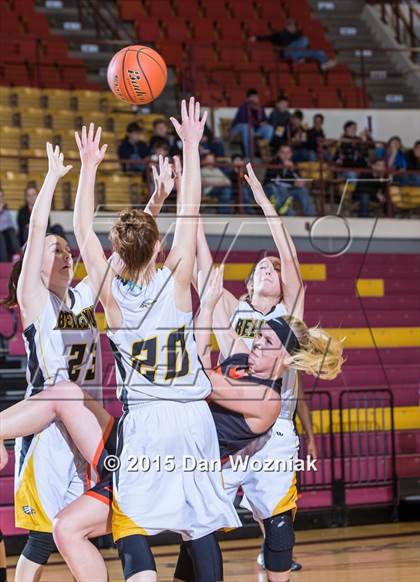 Thumbnail 2 in Bellevue vs. Petrolia (Fantasy of lights) photogallery.