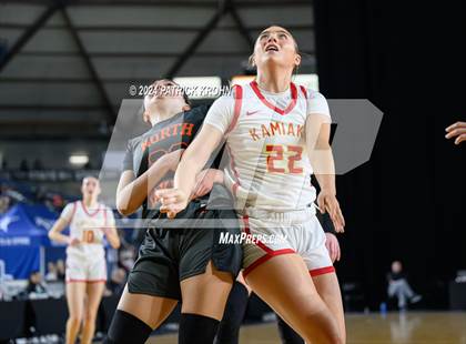 Thumbnail 2 in Kamiakin vs. Davis (WIAA 3A Quarterfinals) photogallery.