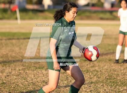 Thumbnail 3 in Monrovia @ Temple City photogallery.