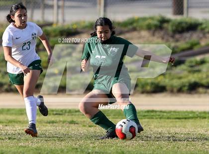 Thumbnail 1 in Monrovia @ Temple City photogallery.